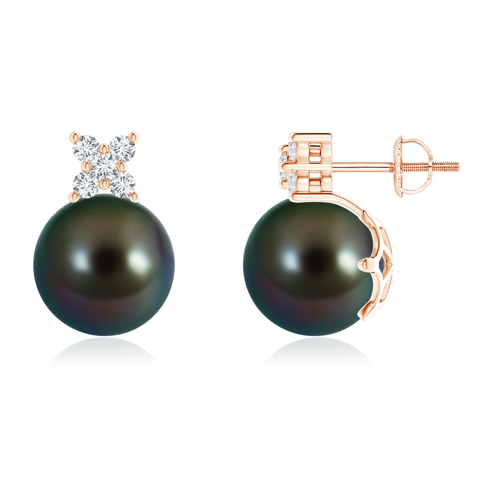 10mm AAAA Tahitian Cultured Pearl and Diamond Clustre Stud Earrings in Rose Gold