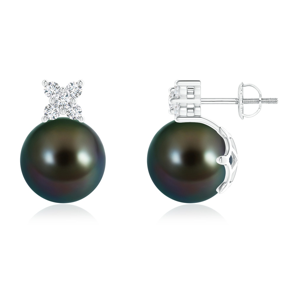 10mm AAAA Tahitian Cultured Pearl and Diamond Clustre Stud Earrings in White Gold