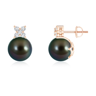 9mm AAAA Tahitian Cultured Pearl and Diamond Clustre Stud Earrings in Rose Gold