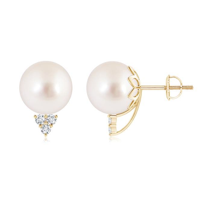 AAAA - South Sea Cultured Pearl / 14.61 CT / 14 KT Yellow Gold