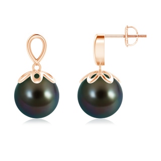 10mm AAAA Solitaire Tahitian Cultured Pearl Dangle Earrings in Rose Gold