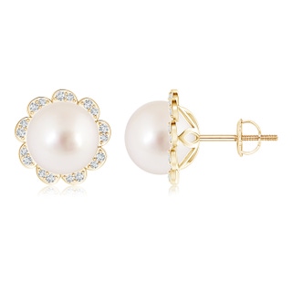 10mm AAAA South Sea Cultured Pearl Floral Halo Studs in Yellow Gold