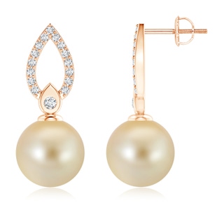 10mm AAA Golden South Sea Cultured Pearl Flame Drop Earrings in Rose Gold