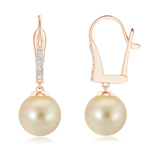 9mm AAA Golden South Sea Pearl Leverback Earrings in Rose Gold