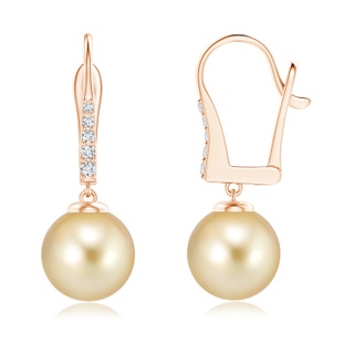 9mm AAAA Golden South Sea Pearl Leverback Earrings in 9K Rose Gold