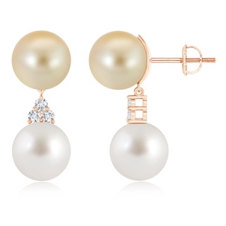 10mm AAA Golden & White South Sea Cultured Pearl Earrings in Rose Gold