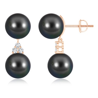 10mm AA Tahitian Cultured Pearl Drop Earrings with Trio Diamonds in Rose Gold