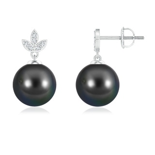 Round AA Tahitian Cultured Pearl