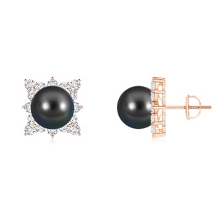 10mm AA Tahitian Cultured Pearl and Diamond Clustre Halo Studs in Rose Gold