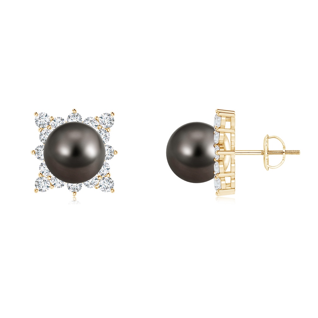 10mm AAA Tahitian Cultured Pearl and Diamond Clustre Halo Studs in Yellow Gold