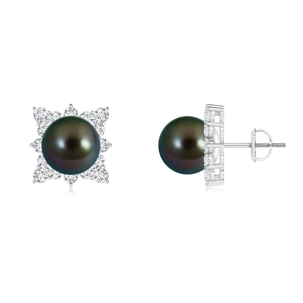 10mm AAAA Tahitian Cultured Pearl and Diamond Clustre Halo Studs in White Gold