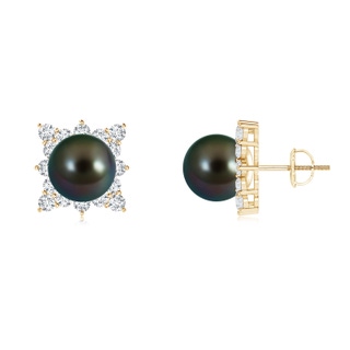 10mm AAAA Tahitian Cultured Pearl and Diamond Clustre Halo Studs in Yellow Gold