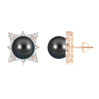 12mm AA Tahitian Cultured Pearl and Diamond Clustre Halo Studs in Rose Gold