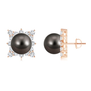 12mm AAA Tahitian Cultured Pearl and Diamond Clustre Halo Studs in Rose Gold