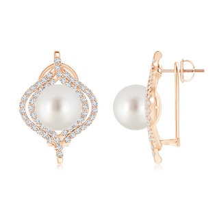 10mm AAA South Sea Cultured Pearl Omega Back Double Halo Earrings in Rose Gold