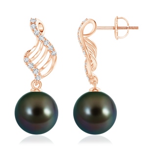 11mm AAAA Tahitian Cultured Pearl Swirl Dangle Earrings in Rose Gold