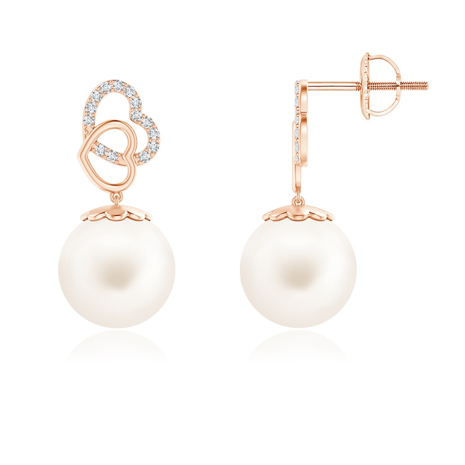 10mm AA Intertwined Heart Freshwater Pearl Drop Earrings in 9K Rose Gold 