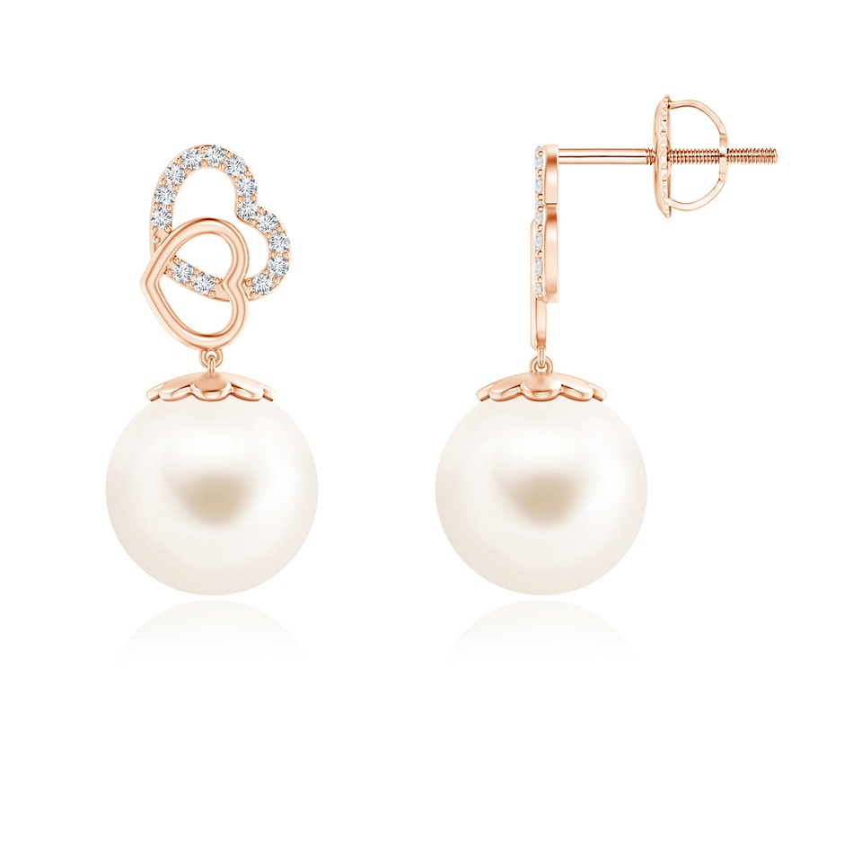 10mm AAA Intertwined Heart Freshwater Pearl Drop Earrings in 9K Rose Gold 