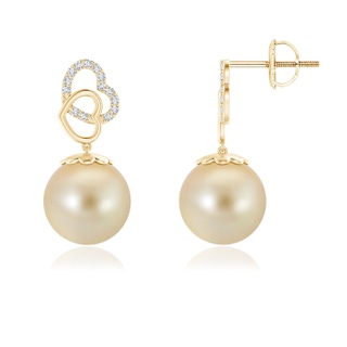 10mm AAA Intertwined Heart Golden South Sea Cultured Pearl Earrings in Yellow Gold