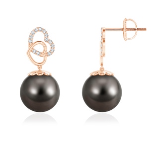 10mm AAA Intertwined Heart Tahitian Cultured Pearl Drop Earrings in 10K Rose Gold