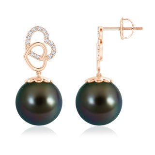 12mm AAAA Intertwined Heart Tahitian Cultured Pearl Drop Earrings in Rose Gold