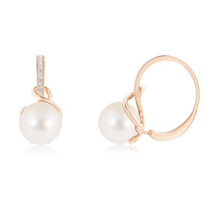 8mm AAA Solitaire Freshwater Pearl Leverback Earrings in 9K Rose Gold