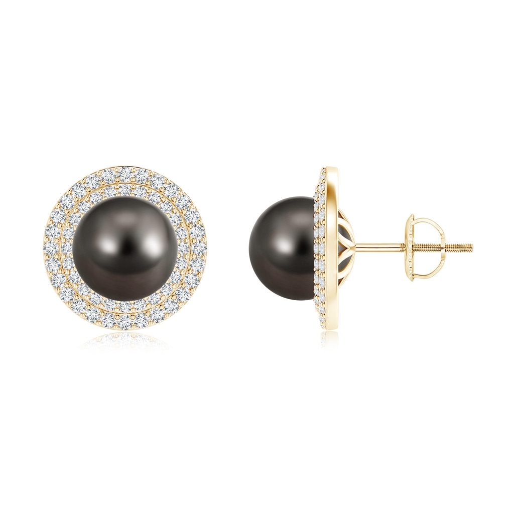 9mm AAA Tahitian Cultured Pearl Double Halo Stud Earrings in Yellow Gold