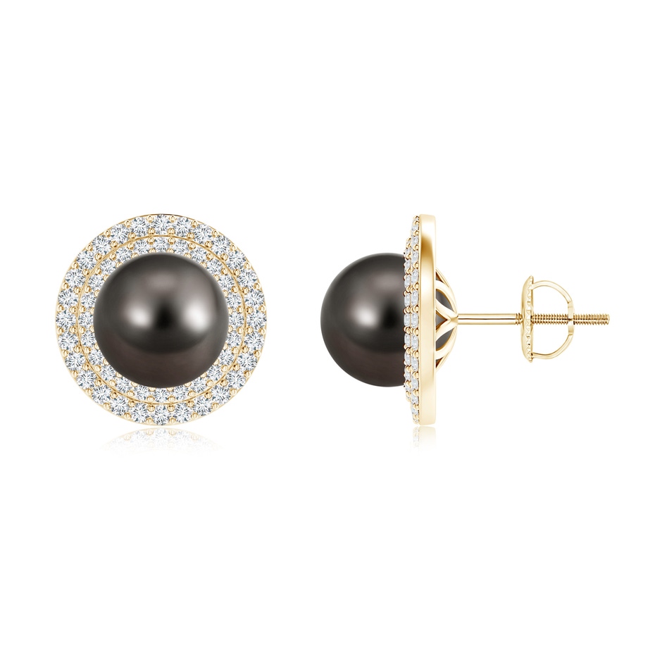 9mm AAA Tahitian Cultured Pearl Double Halo Stud Earrings in Yellow Gold 