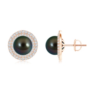 9mm AAAA Tahitian Cultured Pearl Double Halo Stud Earrings in Rose Gold