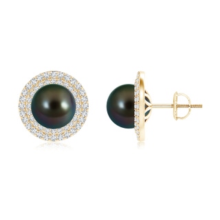 9mm AAAA Tahitian Cultured Pearl Double Halo Stud Earrings in Yellow Gold