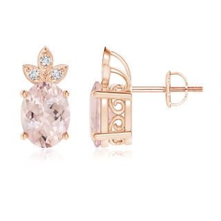Oval AA Morganite