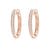 1/3 carat
