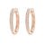 1/3 carat