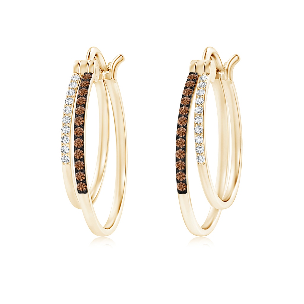 1mm AAAA Coffee and White Diamond Studded Double Hoop Earrings in Yellow Gold