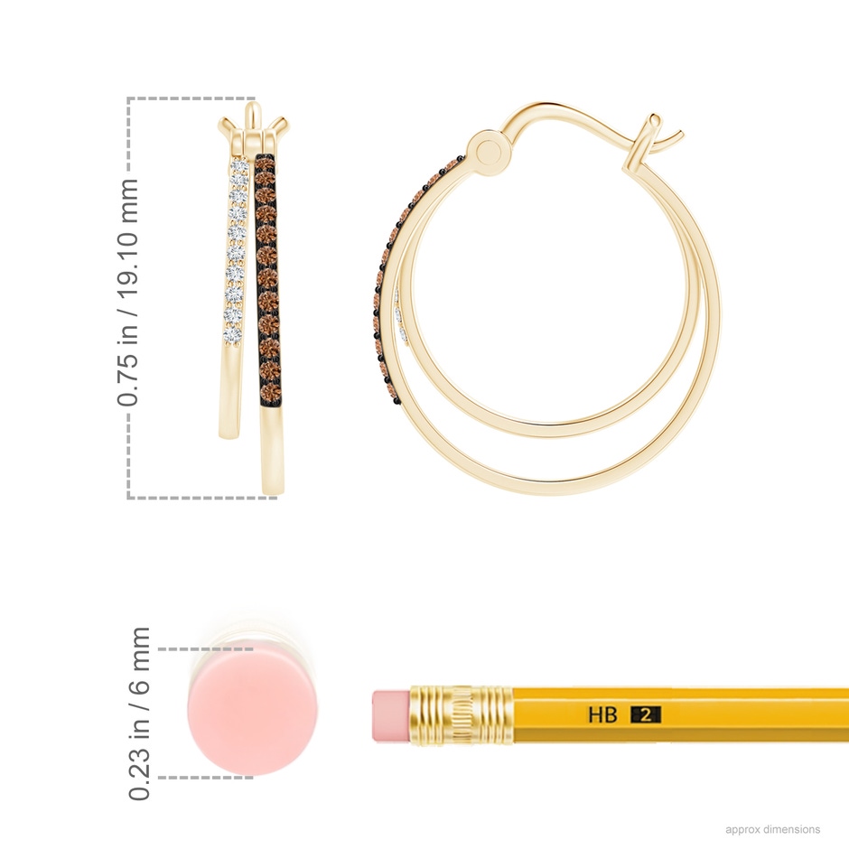 1mm AAAA Coffee and White Diamond Studded Double Hoop Earrings in Yellow Gold ruler