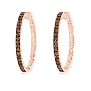 1.6mm AAAA Pavé-Set Coffee Diamond Hoop Earrings with Milgrain in Rose Gold