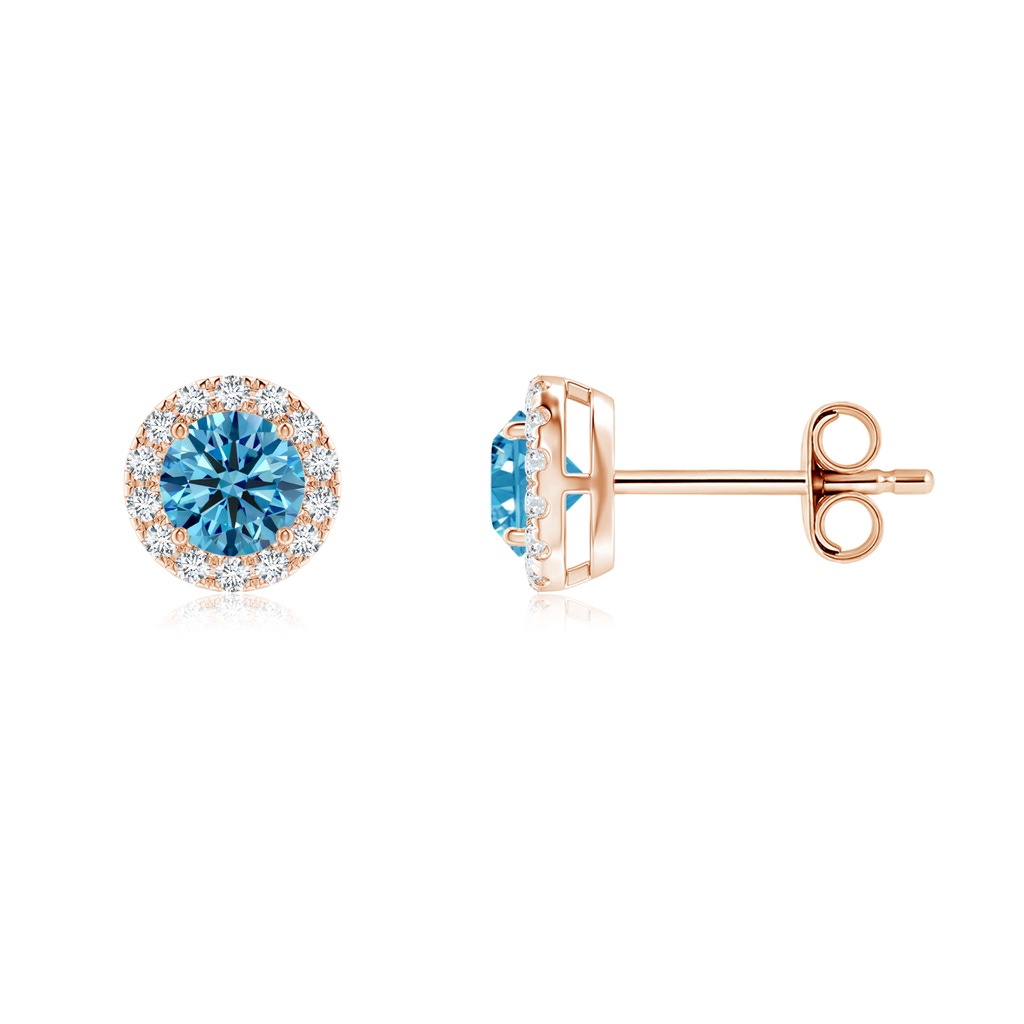 4mm AAAA Prong-Set Fancy Intense Blue and White Diamond Halo Stud Earrings in Rose Gold