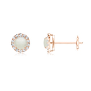 4mm AA Claw-Set Moonstone and Diamond Halo Stud Earrings in Rose Gold