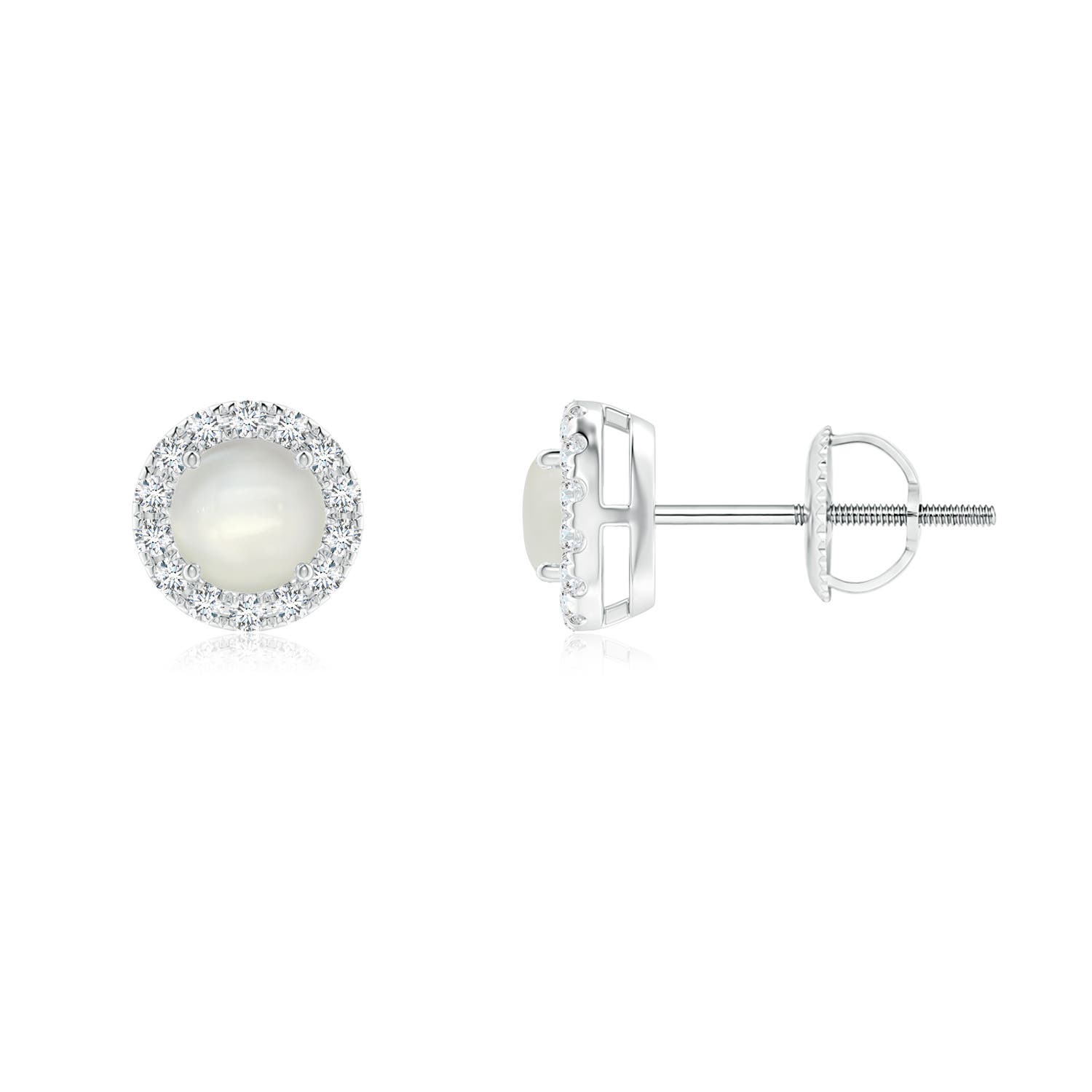 Platinum Moonstone Earrings