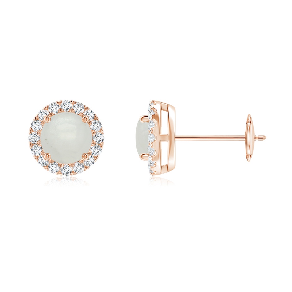 5mm A Claw-Set Moonstone and Diamond Halo Stud Earrings in Rose Gold 
