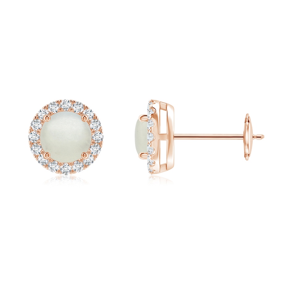 5mm AA Claw-Set Moonstone and Diamond Halo Stud Earrings in Rose Gold 