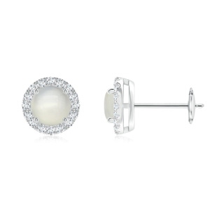 5mm AAA Claw-Set Moonstone and Diamond Halo Stud Earrings in White Gold