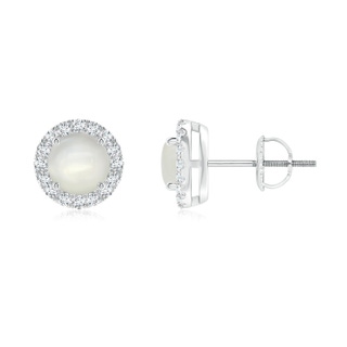 5mm AAAA Claw-Set Moonstone and Diamond Halo Stud Earrings in P950 Platinum