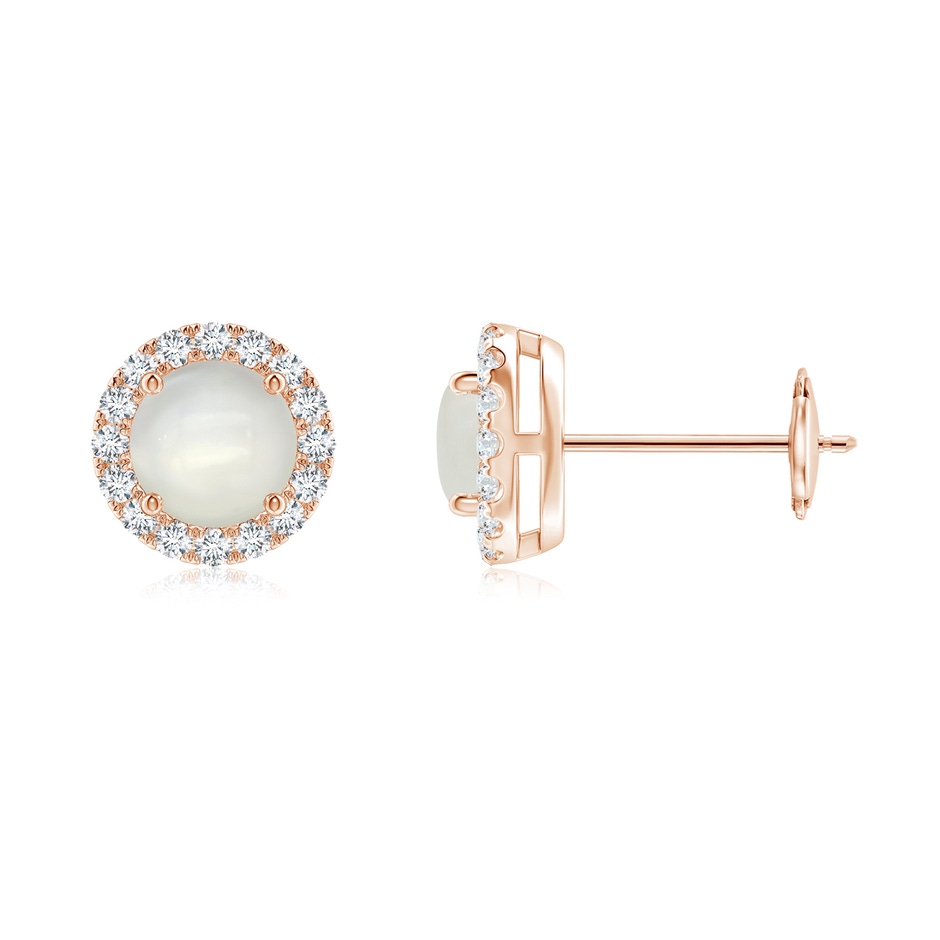 5mm AAAA Claw-Set Moonstone and Diamond Halo Stud Earrings in Rose Gold 