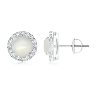 6mm AAAA Claw-Set Moonstone and Diamond Halo Stud Earrings in P950 Platinum