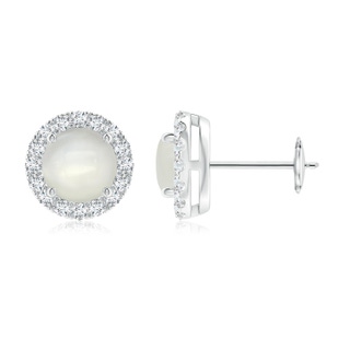 Round AAAA Moonstone