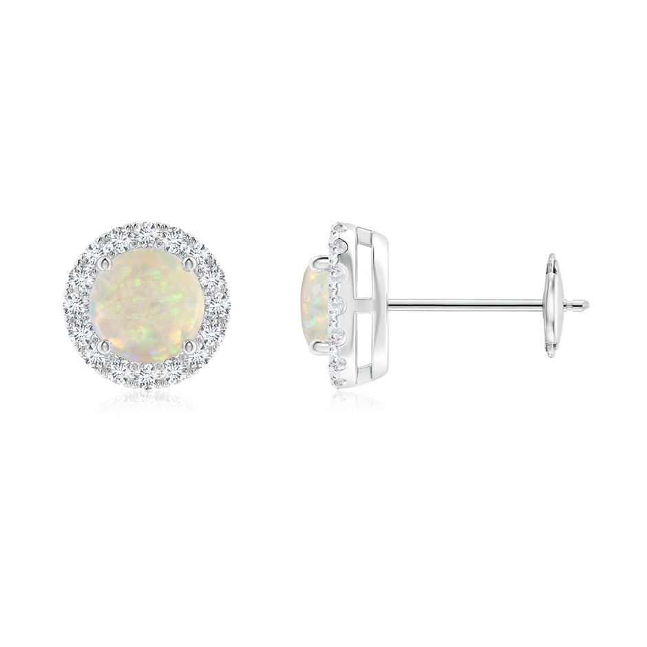 5mm AAA Claw-Set Opal and Diamond Halo Stud Earrings in White Gold 