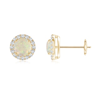 5mm AAA Claw-Set Opal and Diamond Halo Stud Earrings in Yellow Gold