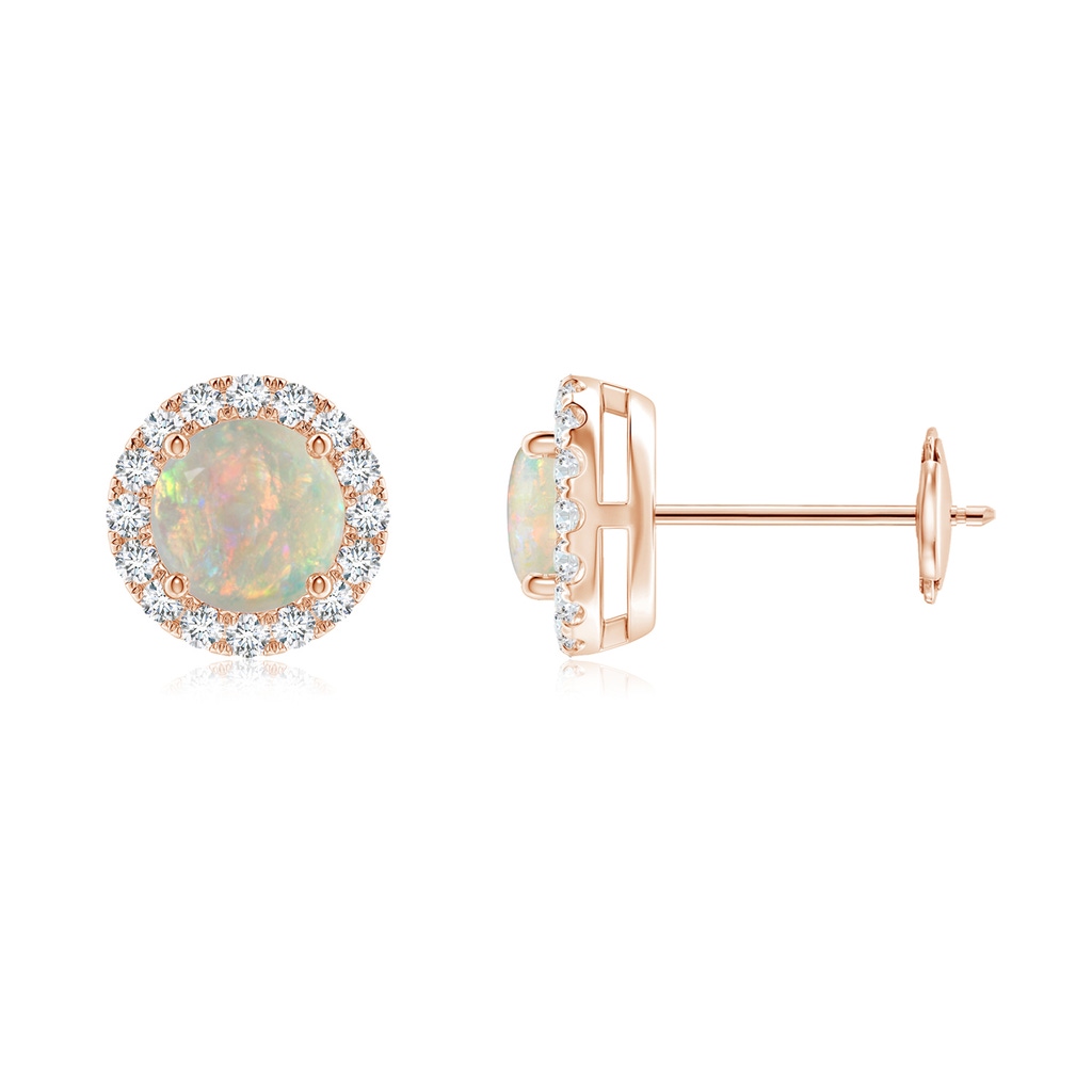 5mm AAAA Claw-Set Opal and Diamond Halo Stud Earrings in Rose Gold