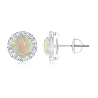 6mm AAAA Claw-Set Opal and Diamond Halo Stud Earrings in P950 Platinum